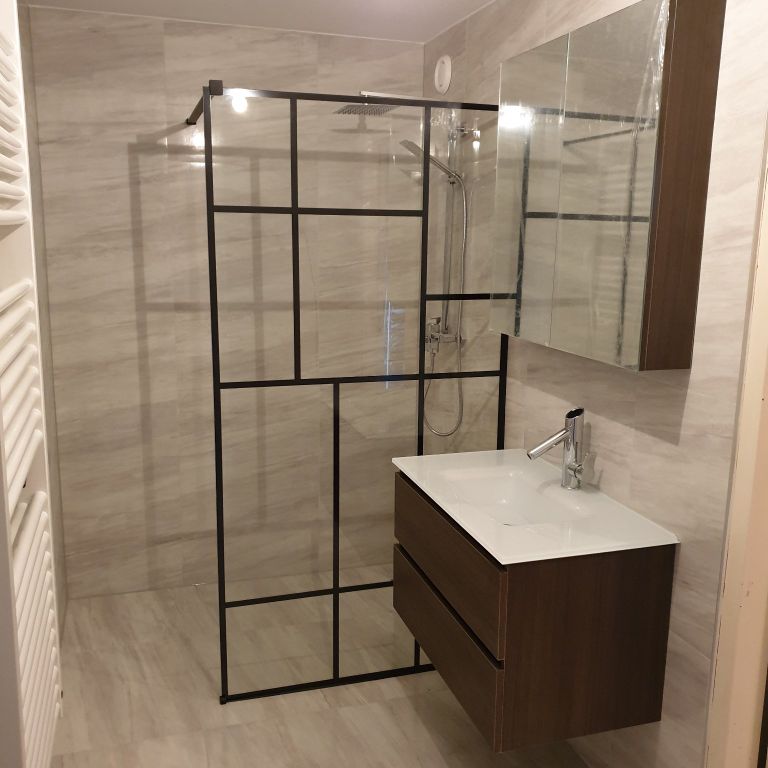 Gerenoveerde badkamer met zwarte douchewand